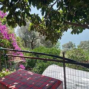  Apart Otel Aysen Ablanin Yeri Türkiye